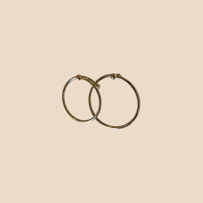 Anello Fedina